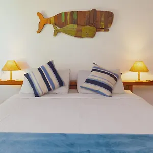 https://pousada-tortuguita.cabofriohotels.org